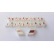 Pushbutton Set Wurlitzer 2410- last set
